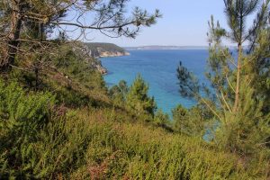 L'ile vierge